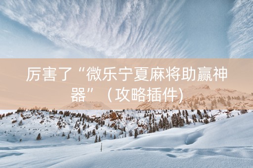 厉害了“微乐宁夏麻将助赢神器”（攻略插件)