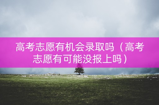 高考志愿有机会录取吗（高考志愿有可能没报上吗）