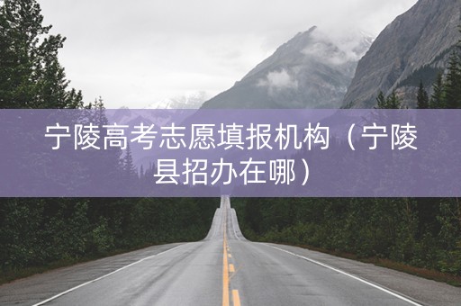 宁陵高考志愿填报机构（宁陵县招办在哪）