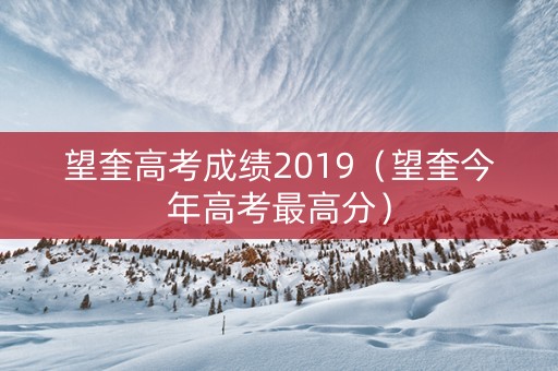 望奎高考成绩2019（望奎今年高考最高分）