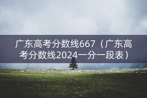 广东高考分数线667（广东高考分数线2024一分一段表）