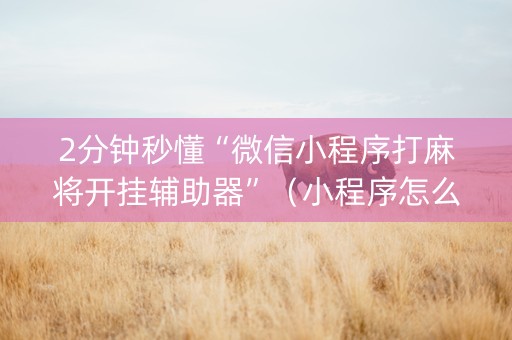 2分钟秒懂“微信小程序打麻将开挂辅助器”（小程序怎么才会赢)