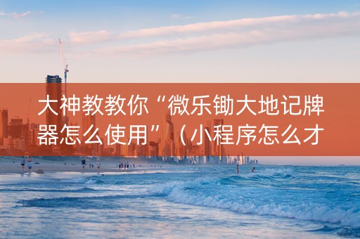 大神教教你“微乐锄大地记牌器怎么使用”（小程序怎么才会赢)