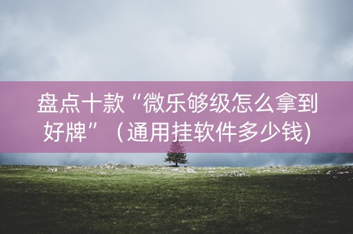 盘点十款“微乐够级怎么拿到好牌”（通用挂软件多少钱)