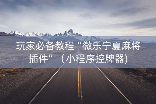 玩家必备教程“微乐宁夏麻将插件”（小程序控牌器)