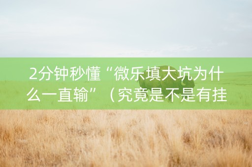 2分钟秒懂“微乐填大坑为什么一直输”（究竟是不是有挂)