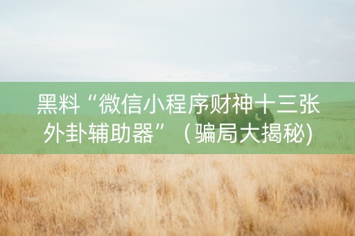 黑料“微信小程序财神十三张外卦辅助器”（骗局大揭秘)
