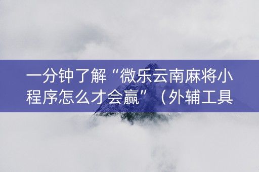 一分钟了解“微乐云南麻将小程序怎么才会赢”（外辅工具)