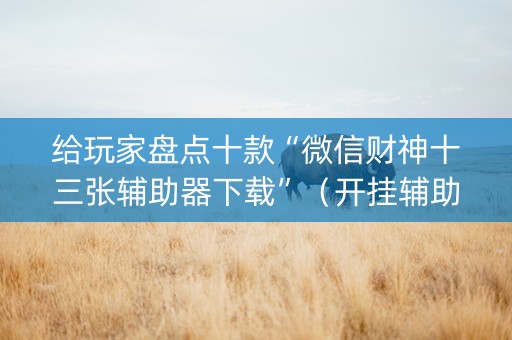 给玩家盘点十款“微信财神十三张辅助器下载”（开挂辅助脚本)