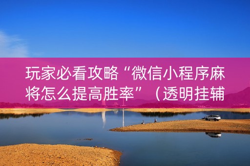 玩家必看攻略“微信小程序麻将怎么提高胜率”（透明挂辅助器)