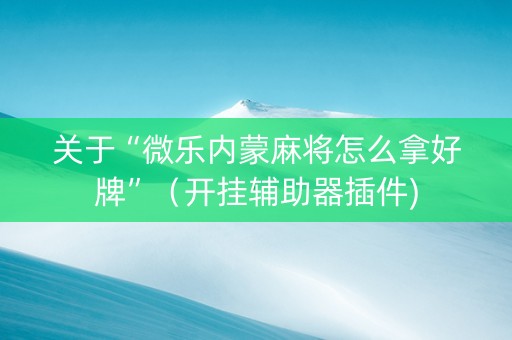 关于“微乐内蒙麻将怎么拿好牌”（开挂辅助器插件)