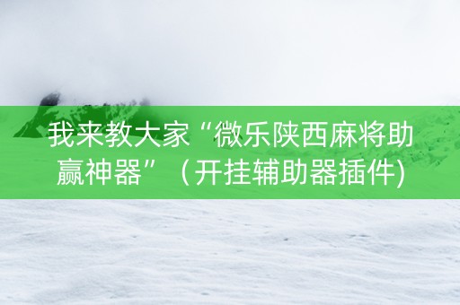 我来教大家“微乐陕西麻将助赢神器”（开挂辅助器插件)