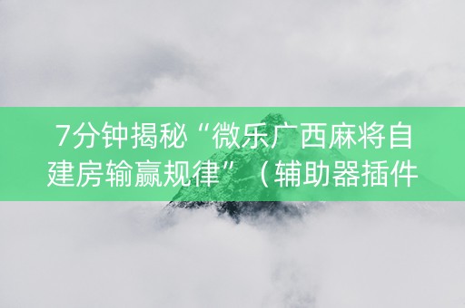 7分钟揭秘“微乐广西麻将自建房输赢规律”（辅助器插件)