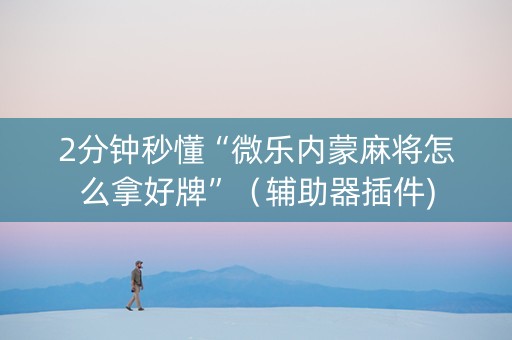 2分钟秒懂“微乐内蒙麻将怎么拿好牌”（辅助器插件)