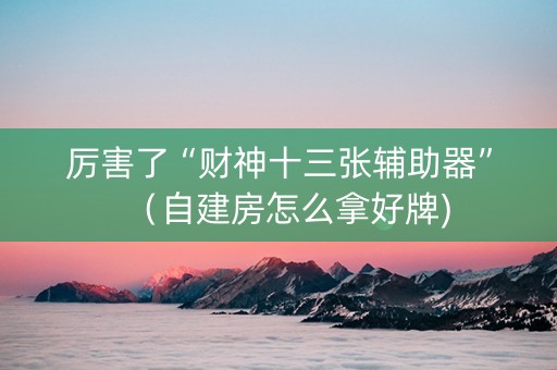 厉害了“财神十三张辅助器”（自建房怎么拿好牌)