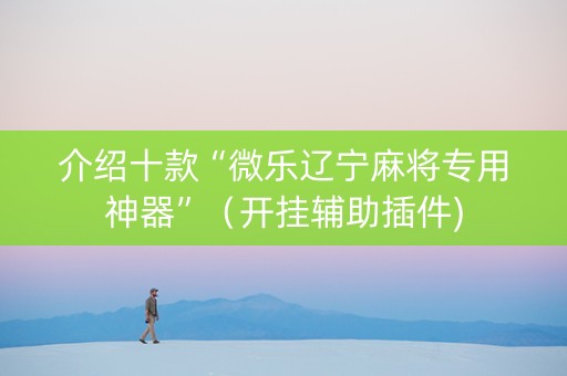 介绍十款“微乐辽宁麻将专用神器”（开挂辅助插件)