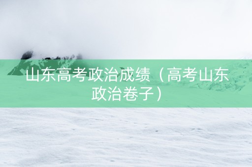 山东高考政治成绩（高考山东政治卷子）