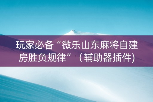 玩家必备“微乐山东麻将自建房胜负规律”（辅助器插件)