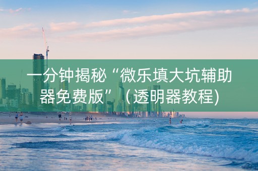 一分钟揭秘“微乐填大坑辅助器免费版”（透明器教程)