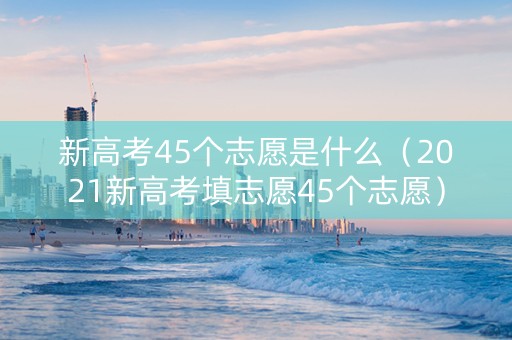 新高考45个志愿是什么（2021新高考填志愿45个志愿）