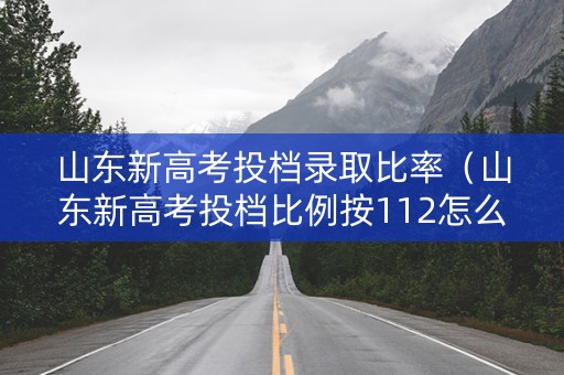 山东新高考投档录取比率（山东新高考投档比例按112怎么报志愿）