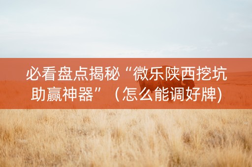 必看盘点揭秘“微乐陕西挖坑助赢神器”（怎么能调好牌)