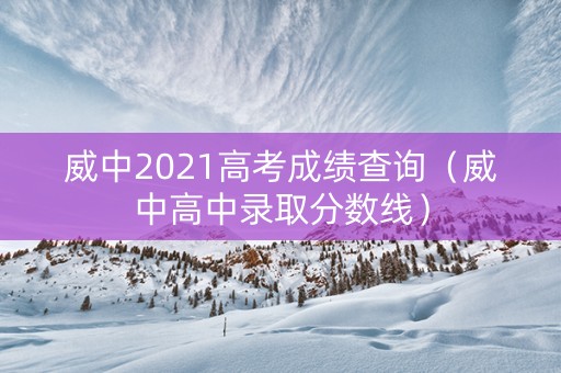 威中2021高考成绩查询（威中高中录取分数线）