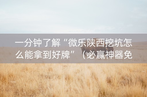 一分钟了解“微乐陕西挖坑怎么能拿到好牌”（必赢神器免费安装)