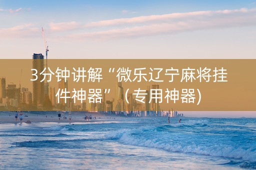3分钟讲解“微乐辽宁麻将挂件神器”（专用神器)