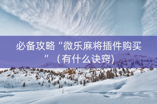 必备攻略“微乐麻将插件购买”（有什么诀窍)