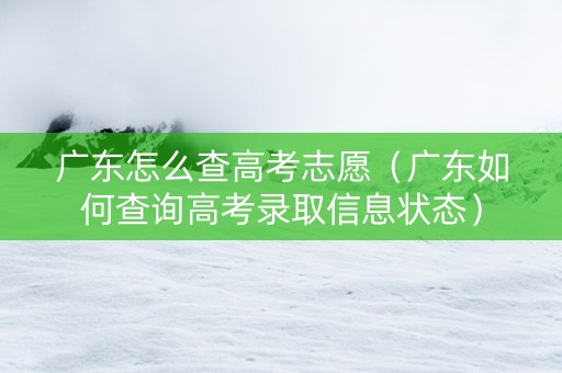 广东怎么查高考志愿（广东如何查询高考录取信息状态）