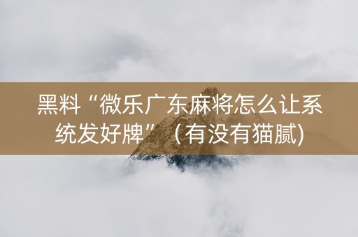 黑料“微乐广东麻将怎么让系统发好牌”（有没有猫腻)