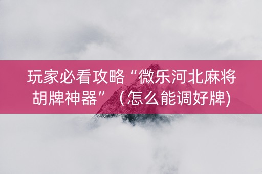 玩家必看攻略“微乐河北麻将胡牌神器”（怎么能调好牌)