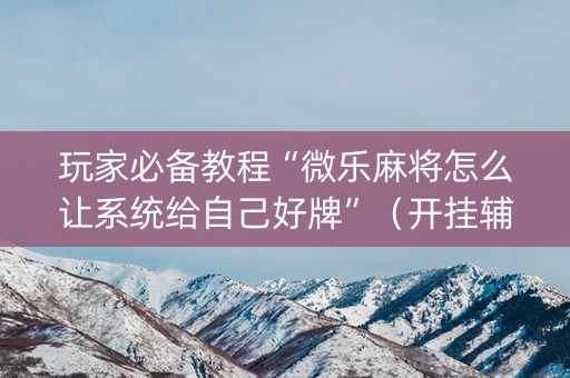 玩家必备教程“微乐麻将怎么让系统给自己好牌”（开挂辅助器脚本)