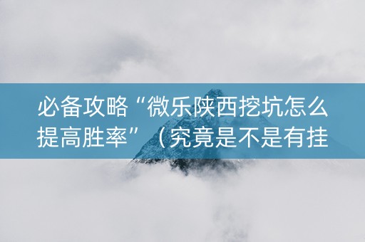 必备攻略“微乐陕西挖坑怎么提高胜率”（究竟是不是有挂)