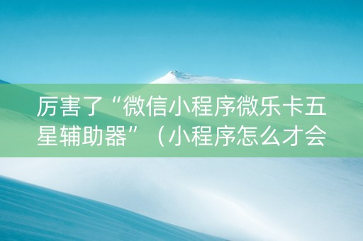 厉害了“微信小程序微乐卡五星辅助器”（小程序怎么才会赢)