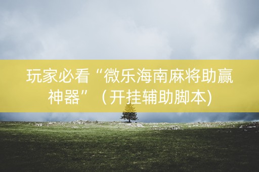 玩家必看“微乐海南麻将助赢神器”（开挂辅助脚本)