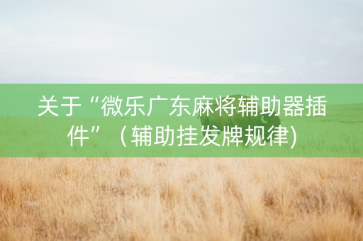 关于“微乐广东麻将辅助器插件”（辅助挂发牌规律)