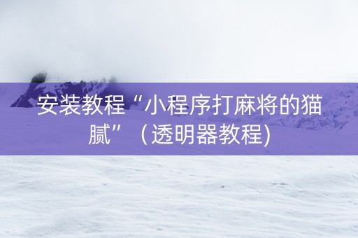 安装教程“小程序打麻将的猫腻”（透明器教程)