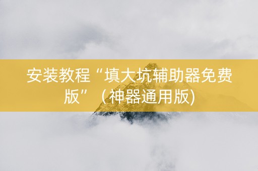 安装教程“填大坑辅助器免费版”（神器通用版)