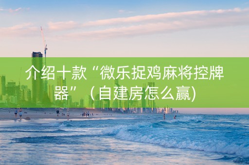 介绍十款“微乐捉鸡麻将控牌器”（自建房怎么赢)