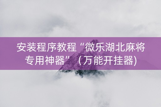 安装程序教程“微乐湖北麻将专用神器”（万能开挂器)
