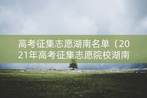 高考征集志愿湖南名单（2021年高考征集志愿院校湖南）