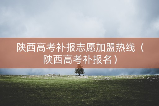 陕西高考补报志愿加盟热线（陕西高考补报名）