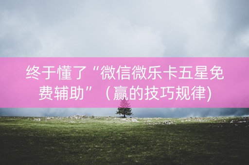 终于懂了“微信微乐卡五星免费辅助”（赢的技巧规律)