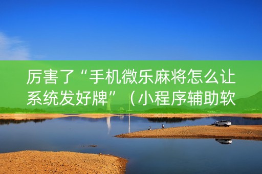 厉害了“手机微乐麻将怎么让系统发好牌”（小程序辅助软件)