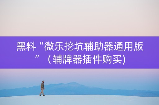 黑料“微乐挖坑辅助器通用版”（辅牌器插件购买)