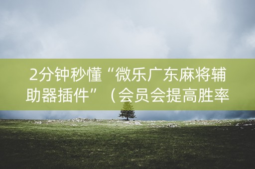 2分钟秒懂“微乐广东麻将辅助器插件”（会员会提高胜率吗)
