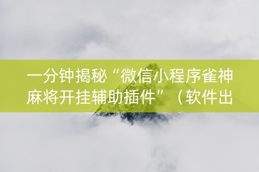 一分钟揭秘“微信小程序雀神麻将开挂辅助插件”（软件出售)