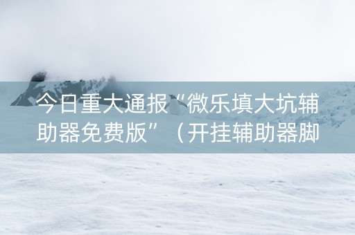 今日重大通报“微乐填大坑辅助器免费版”（开挂辅助器脚本)